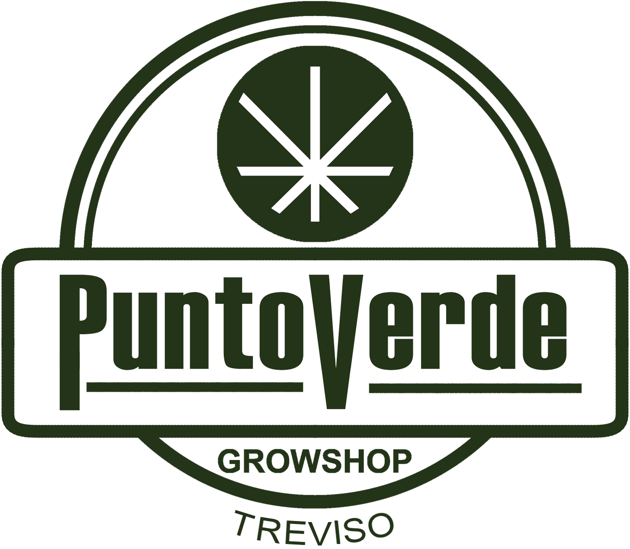 Logo-Puntoverde